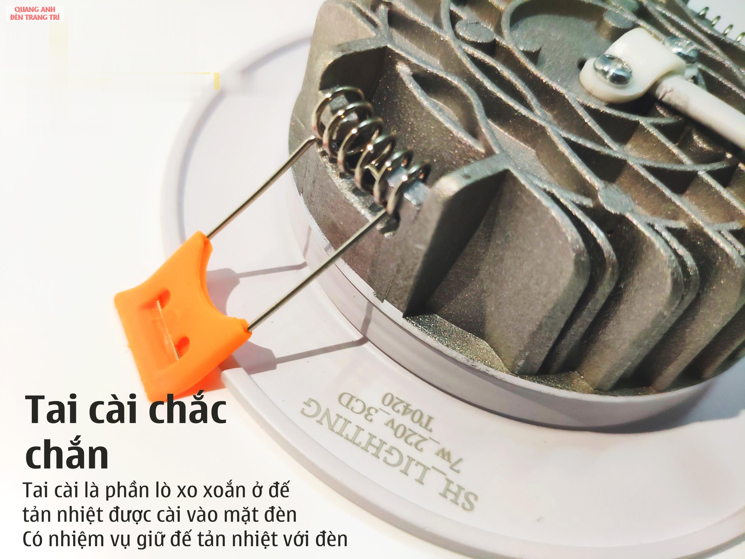 den-am-tran-7-1_gsModify