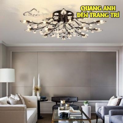 bia-1-33-500x500-1-400x400-1